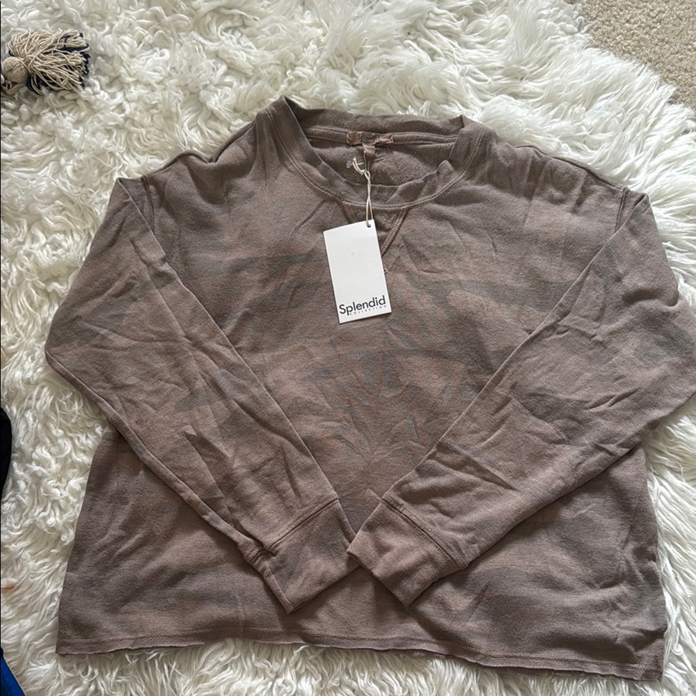 Splendid Brown Boxy Long Sleeve Hoodie